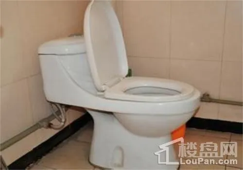 马桶堵住了怎么通马桶堵住了的原因