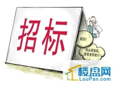房地产招标流程及注意事项，房地产项目必须要进行招标吗应注意哪些注意事项